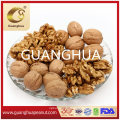 Yunnan Extra Lh Walnut Kernels 80% up